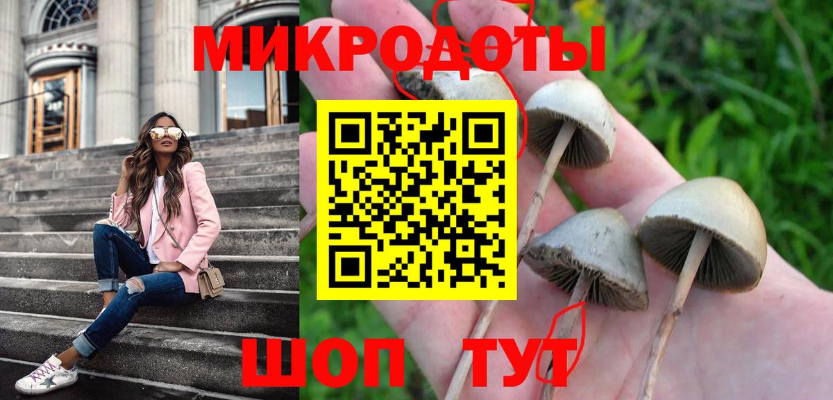 Магадан  Галлюциногенные грибы GOLDEN TEACHER  Вход с VPN 
